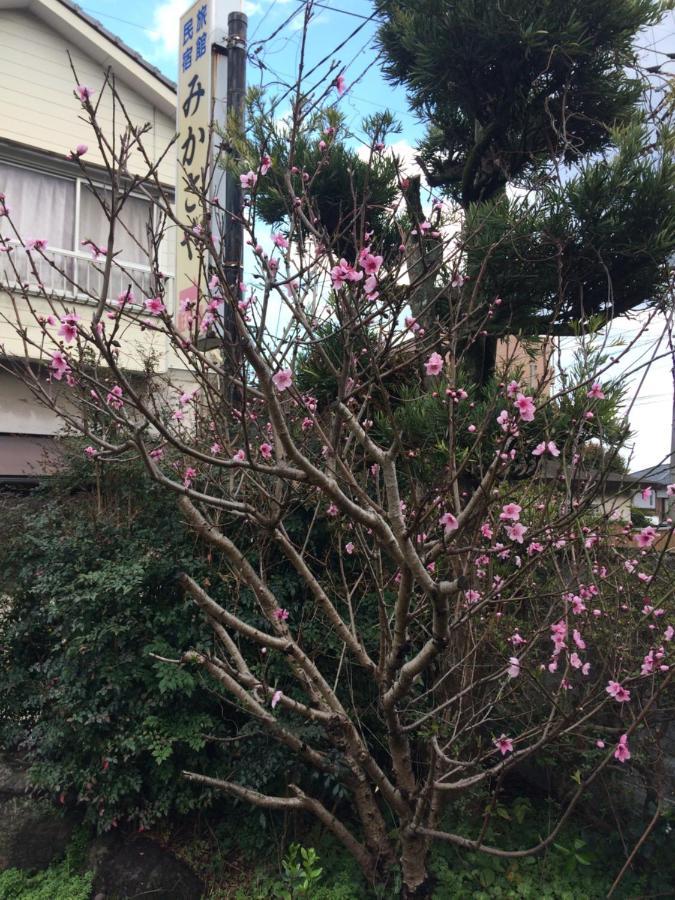 Ryokan Mikasaya Beppu Exterior foto