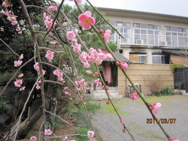 Ryokan Mikasaya Beppu Exterior foto